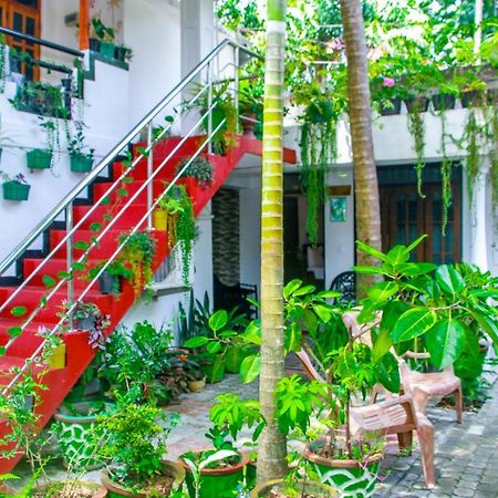 Sigiri Tarushan Home Stay Szigirija Kültér fotó